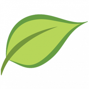 New Leaf Favicon