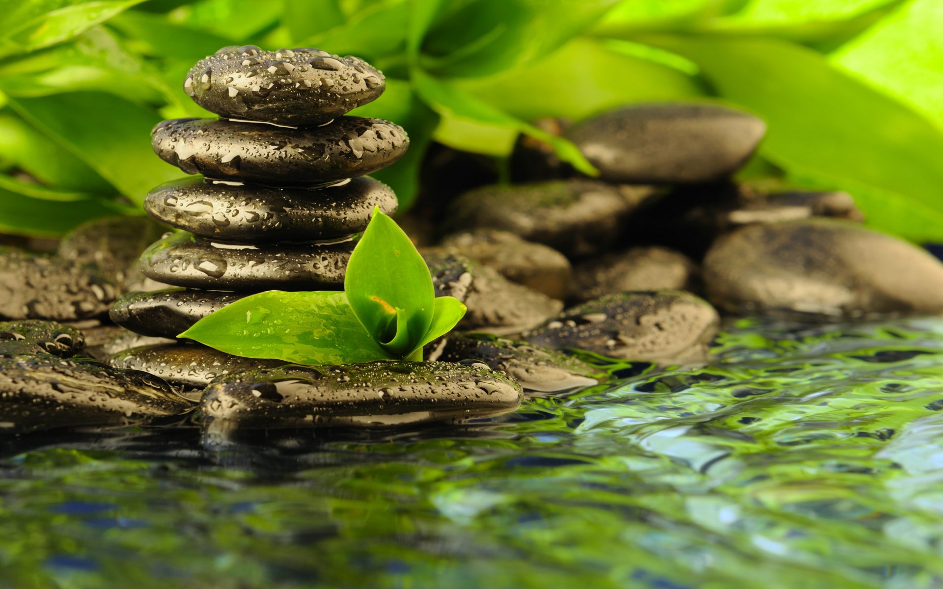 Stepping Stones