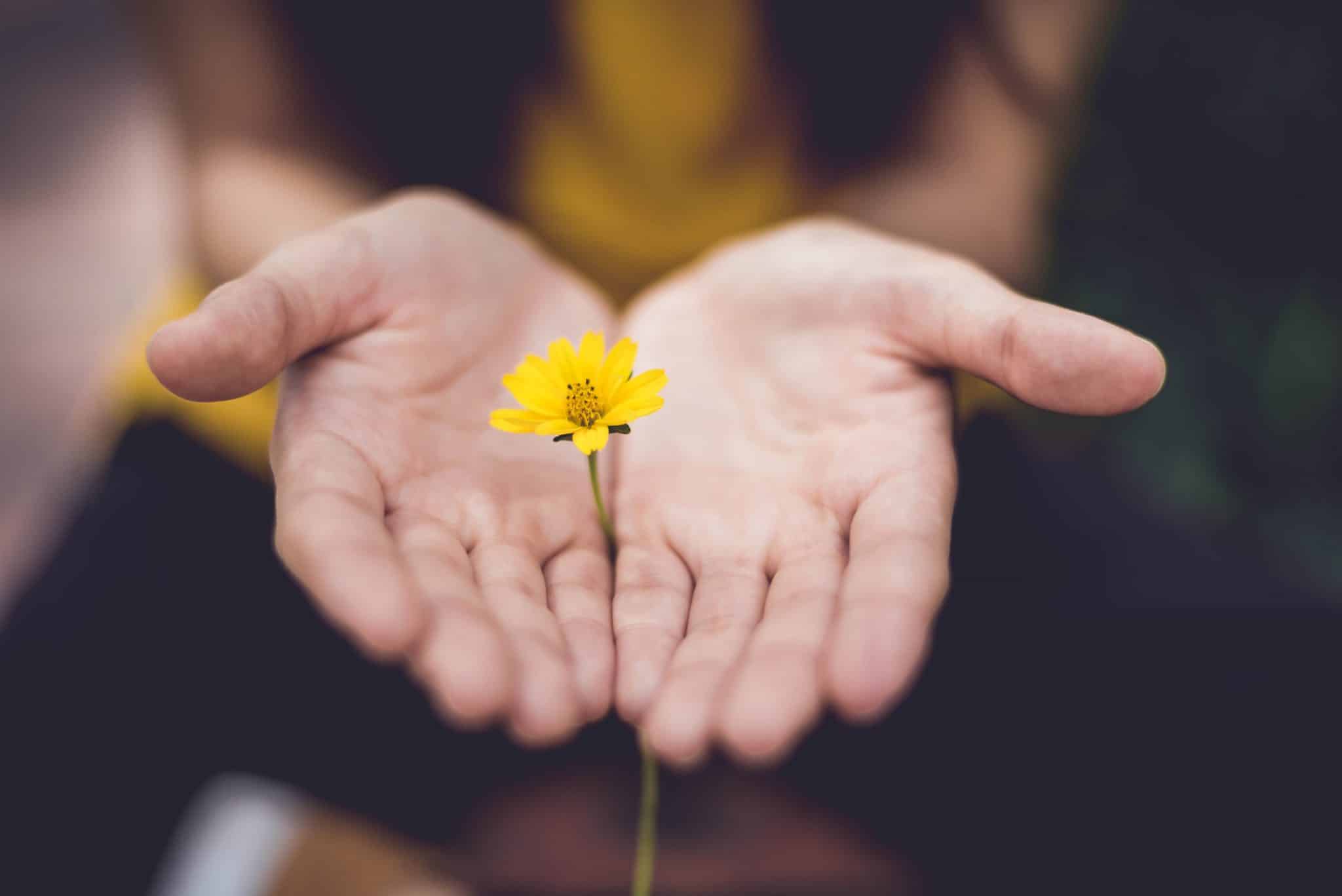addiction recovery change transformation no one chooses to become an addiction but you can change and there is hope