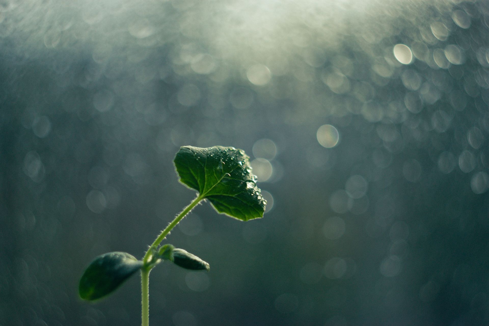 Early Recovery_result Navigating early addiction recovery