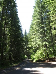 Environmental triggers