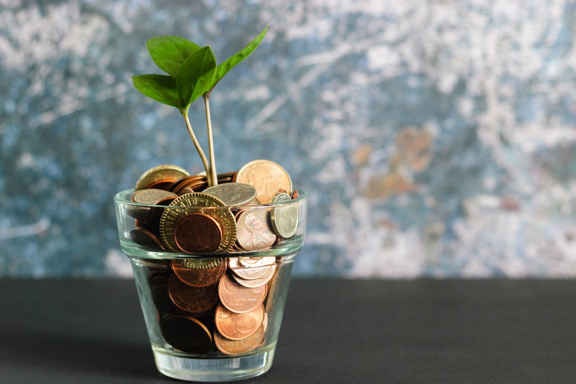 Talking money - change in a glass with plant growing out