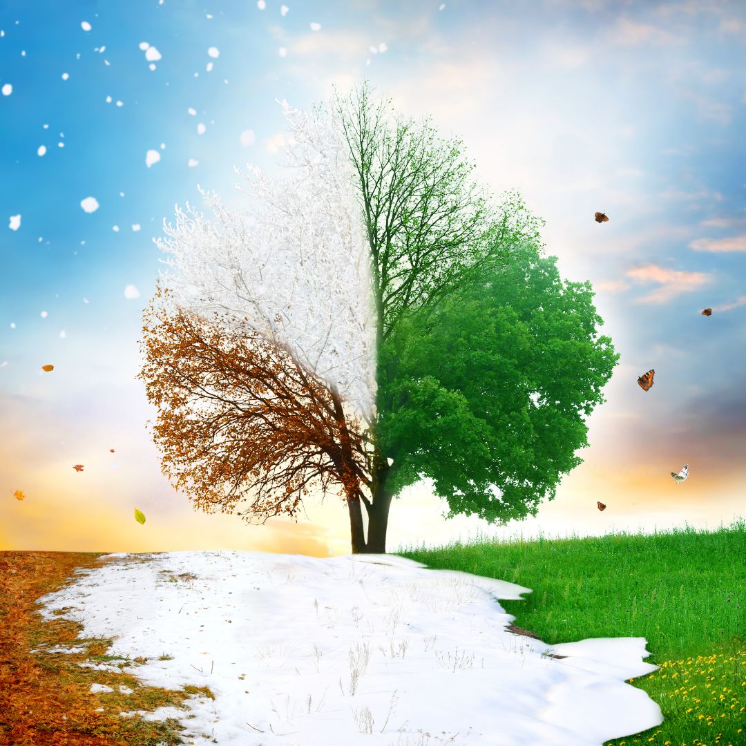 Does Changing Weather Affect Addiction? | New Leaf Recovery