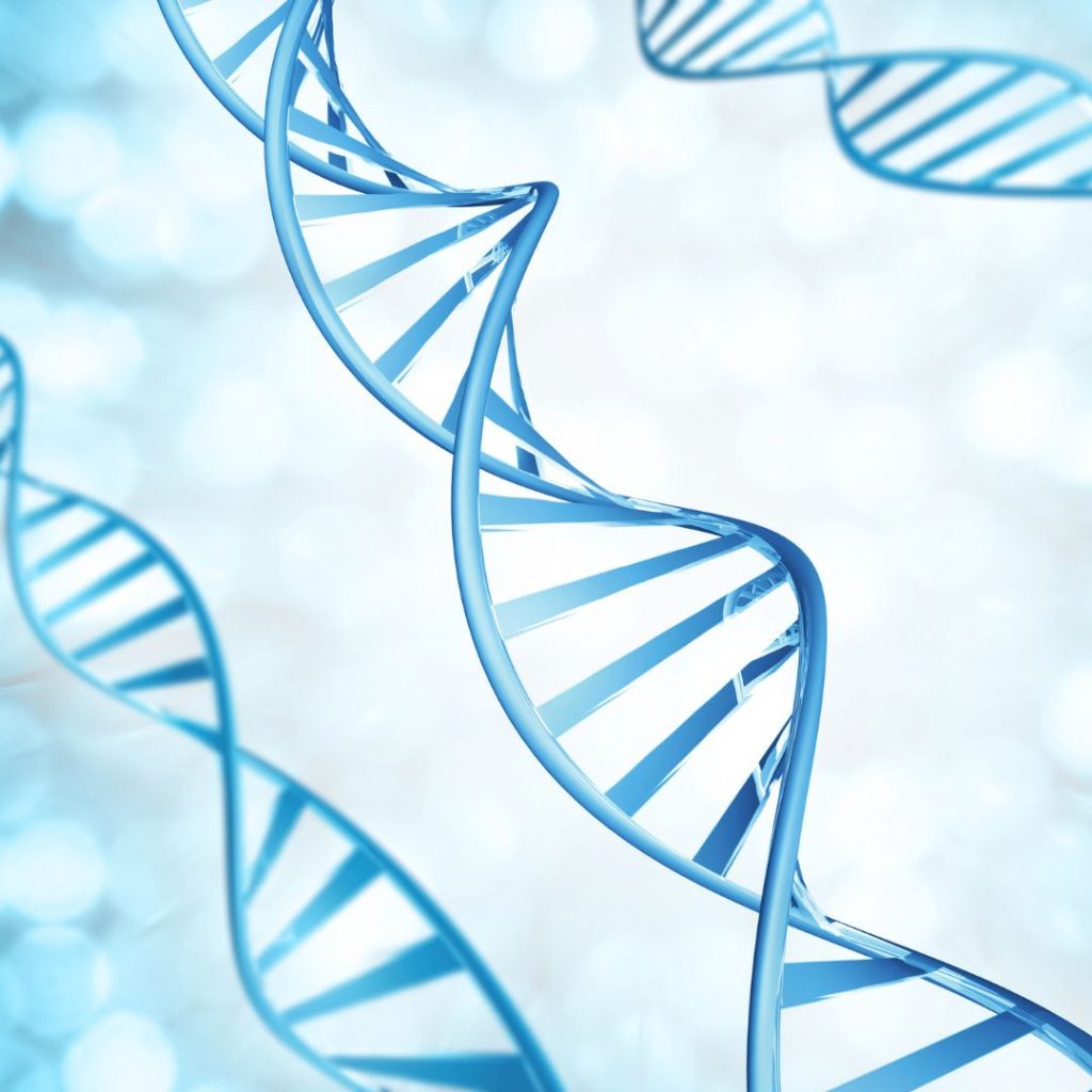 Genetics in Addiction Genetics in Addiction