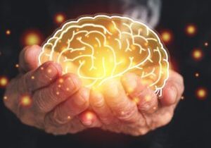 Connection Between Cocaine & Memory Loss