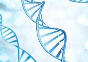 Genetics in Addiction